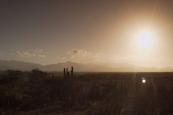 Fotograma de la película Los sueños viajan con el viento